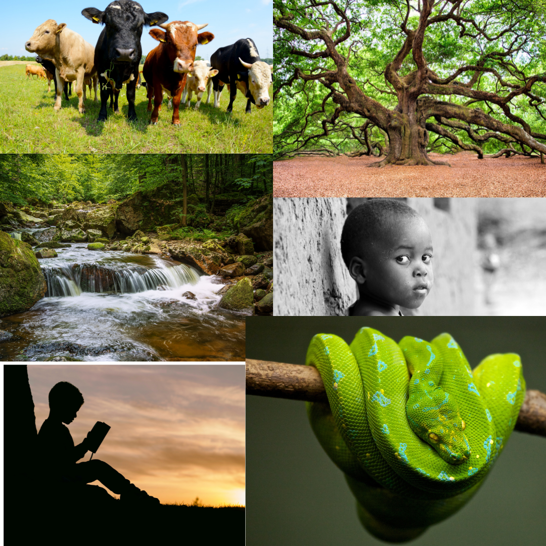 Lectura - Una Niñez Diferente a las de Ahora